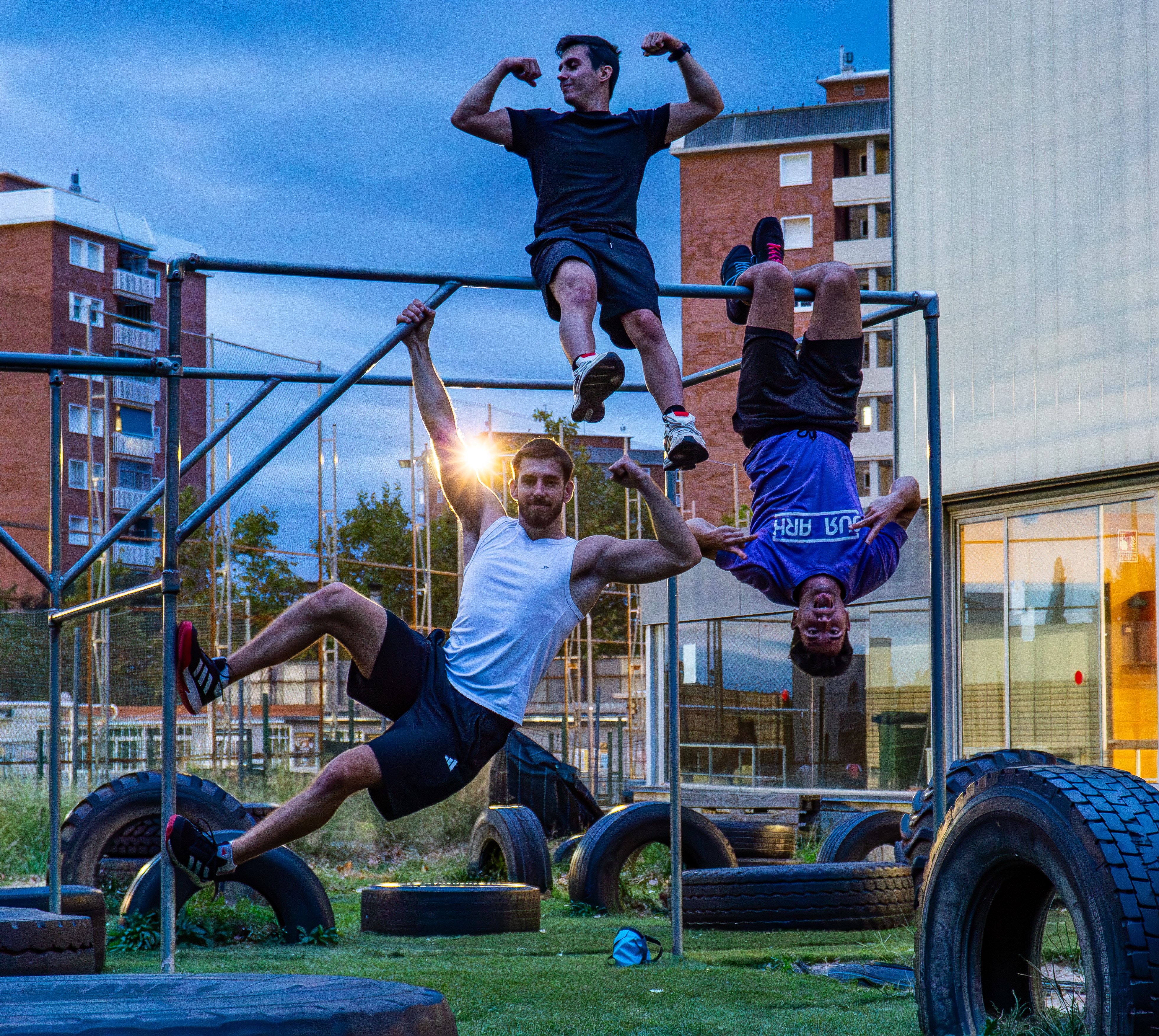 Acrobàcies al capvespre